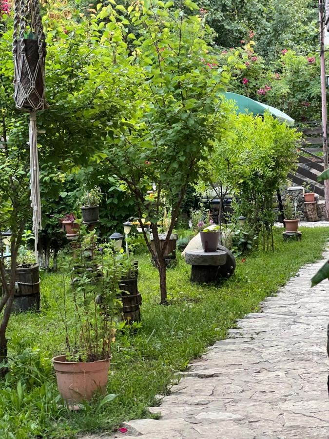 Artsiv Guesthouse Dilijan Exterior foto