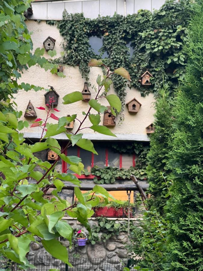 Artsiv Guesthouse Dilijan Exterior foto